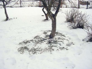 Как сделать снегозадержание на участке. Смотреть фото Как сделать снегозадержание на участке. Смотреть картинку Как сделать снегозадержание на участке. Картинка про Как сделать снегозадержание на участке. Фото Как сделать снегозадержание на участке