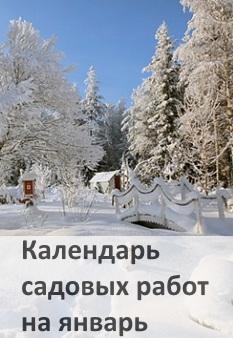 Посадка картофеля в зиму Константиновка в зеркале Провинции Сажаем картошку под зиму и получаем суперранний урожай