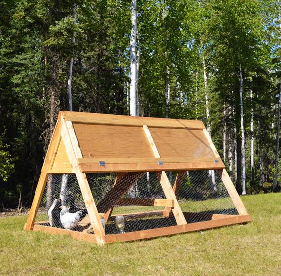 Простой курятник на 10 кур своими руками: фото и чертежи с размерами Как построить курятник своими руками?