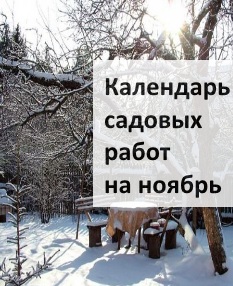 Как вылечить бурсит пятки, медикаментозные и народные методы 39 Как вылечить бурсит пятки, медикаментозные и народные методы 13